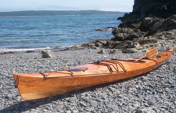 Guillemot petrel kayak